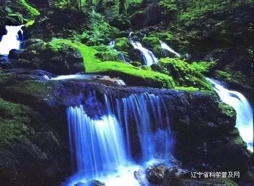 小榄镇：强化生态环保监督！组织人大代表开展专题视察